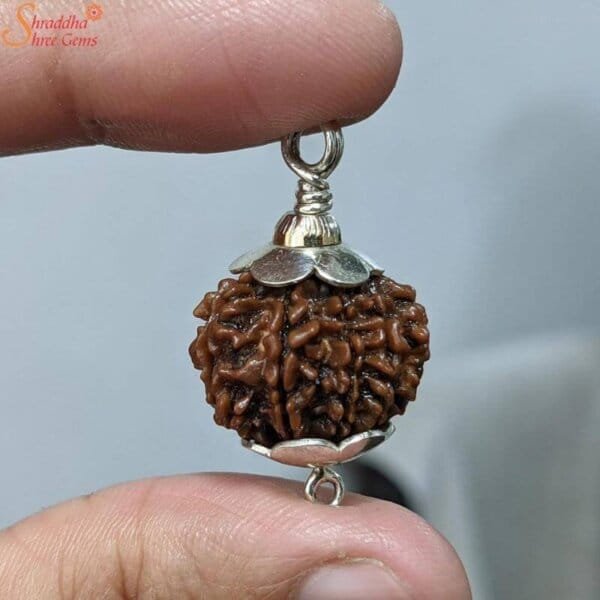 10 mukhi rudraksha pendant