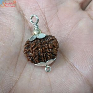 13 mukhi rudraksha pendant