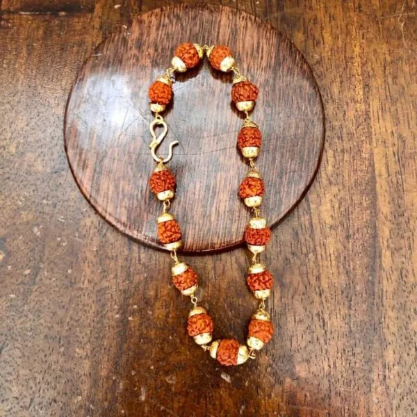 5 mukhi rudraksha bracelet