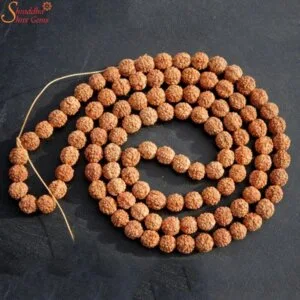 5 mukhi rudraksha mala