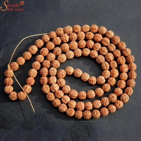 5 mukhi rudraksha mala