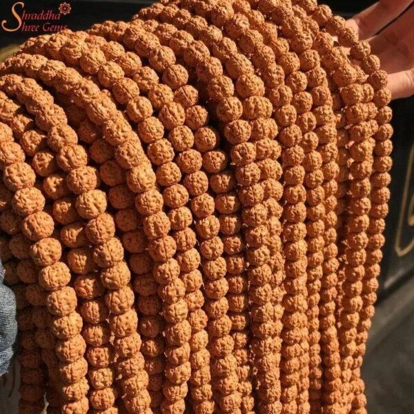 5 mukhi rudraksha mala