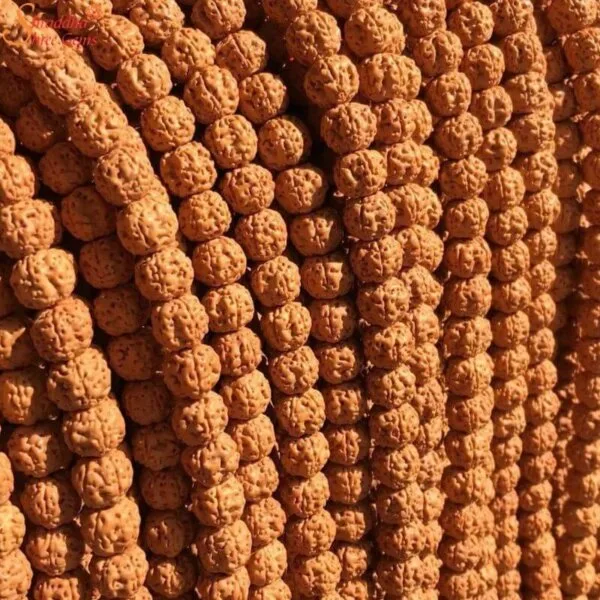 5 mukhi rudraksha mala