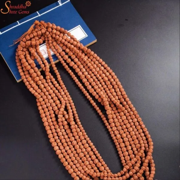 5 mukhi rudraksha mala