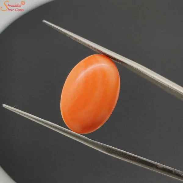 natural japanese coral gemstone