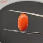 unheated 8 carat coral gemstone