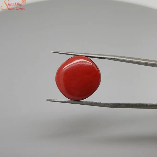 cushion cabochon coral gemstone