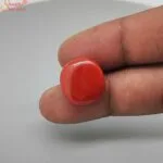 cushion cabochon coral gemstone