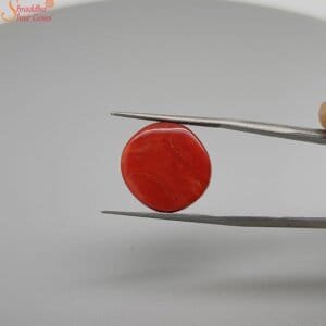 cushion cabochon coral gemstone