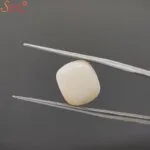 certified white coral gemstone