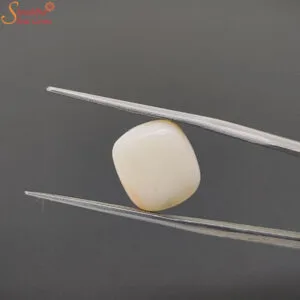 certified white coral gemstone