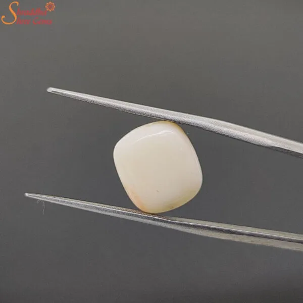 certified white coral gemstone