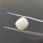 certified white coral gemstone