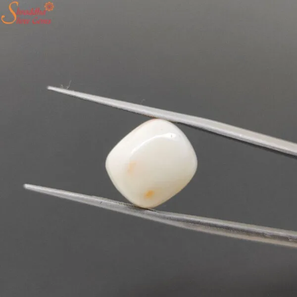 certified white coral gemstone