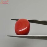 video-thumb-0