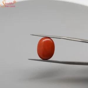 natural loose coral gemstone