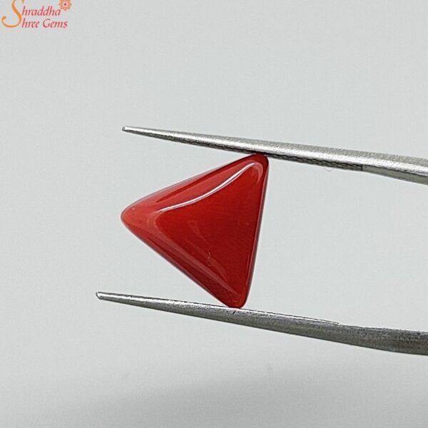 natural triangle coral gemstone