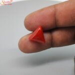 natural triangle coral gemstone