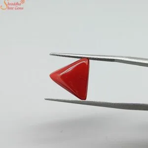 natural triangle coral gemstone