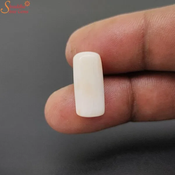 natural white coral gemstone