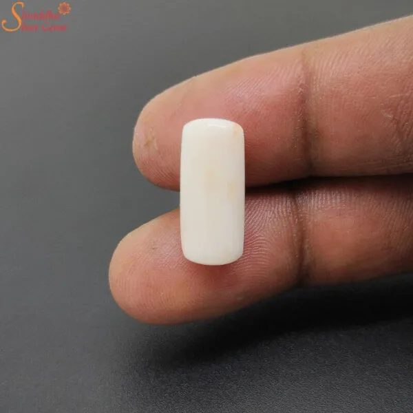 natural white coral gemstone