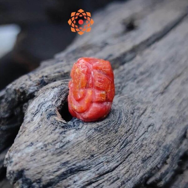 Natural-Hand-Carved-Italian-Coral_Moonga-Ganesha-Idol-21.15-Carat