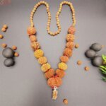 rudraksha-siddha-mala