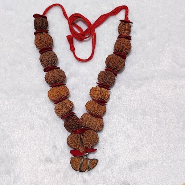 Siddha Mala Rudraksha