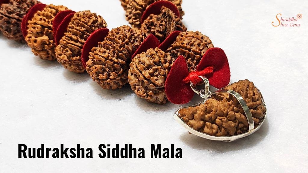 Rudraksha Siddha Mala – Shraddha Shree Gems