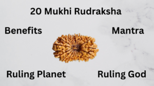 20 mukhi rudraksha