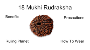 18 Mukhi rudraksha