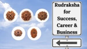rudraksha for success