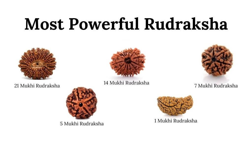 most powerful rudraksha