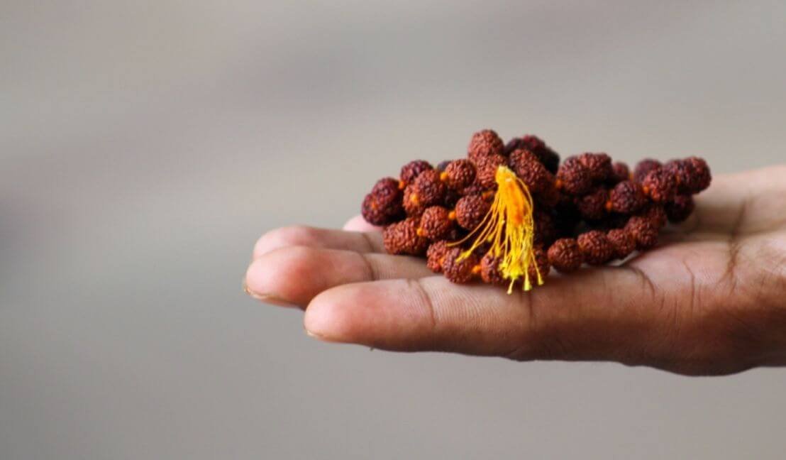 Rudraksha Category Banner