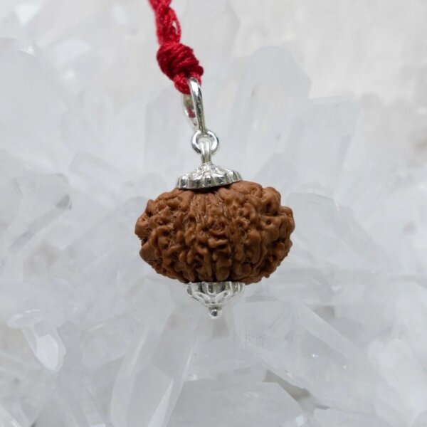 12 Mukhi Rudraksha Pendant