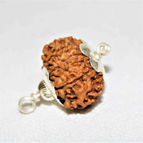 13 Mukhi Rudraksha Pendant