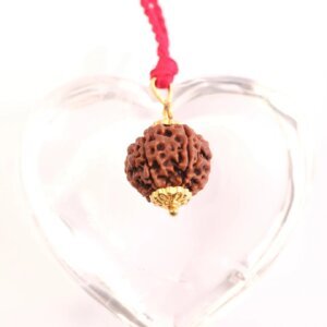 6 Mukhi Rudraksha Pendant