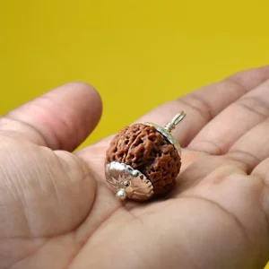 5 Mukhi Rudraksha Pendant