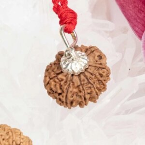 11 Mukhi Rudraksha Pendant