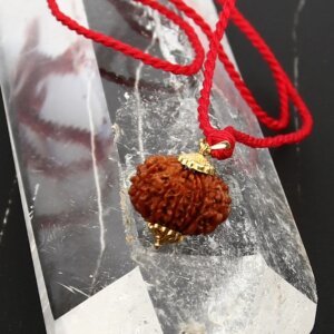 14 Mukhi Rudraksha Pendant