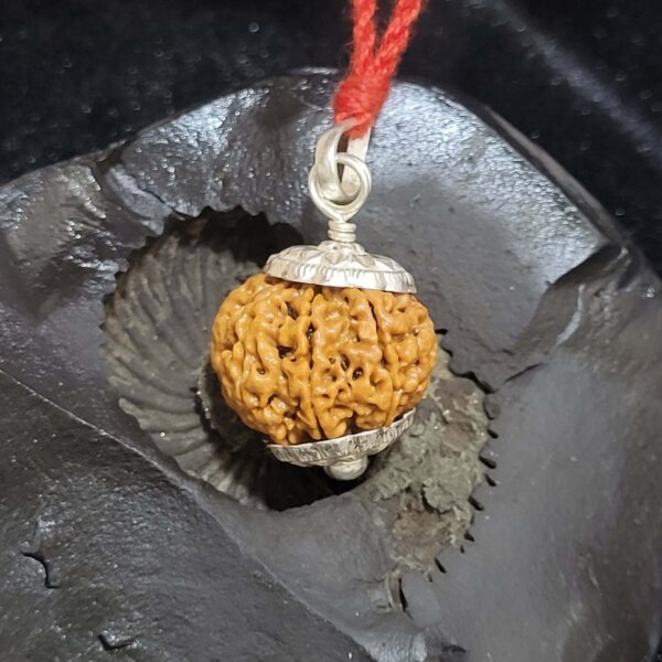 7 Mukhi Rudraksha Pendant