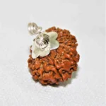 13 Mukhi Rudraksha Pendant