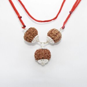 Rudraksha Combination- Success and Travel Abroad