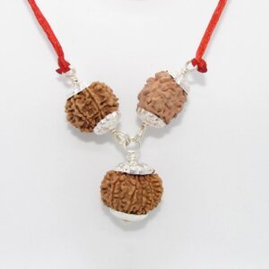 Rudraksha Combination- Balance and Harmony