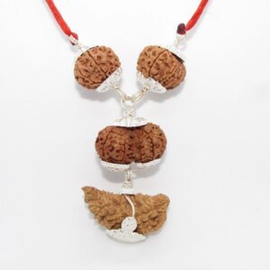 Rudraksha Combination- Meditation and Spirituality