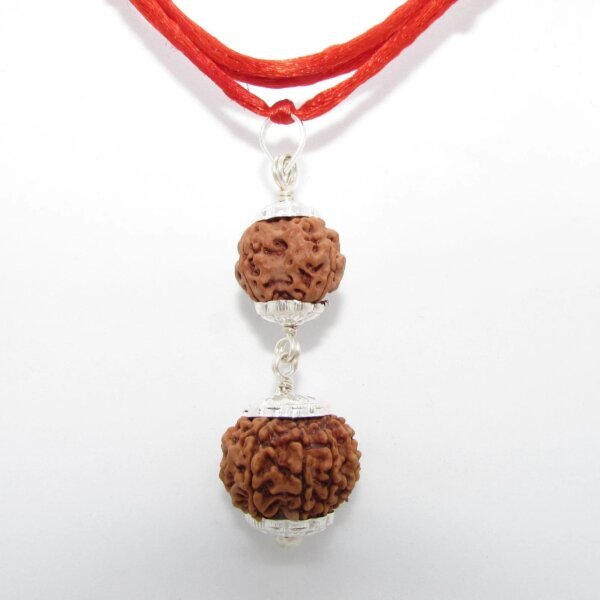 Rudraksha Combination for Spiritual Harmony