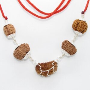 Rudraksha Combination for Healthy Heart