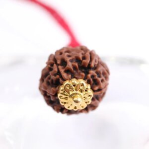 6 Mukhi Rudraksha Pendant