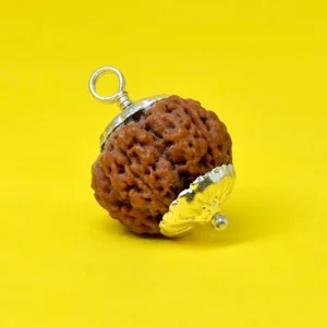 5 Mukhi Rudraksha Pendant