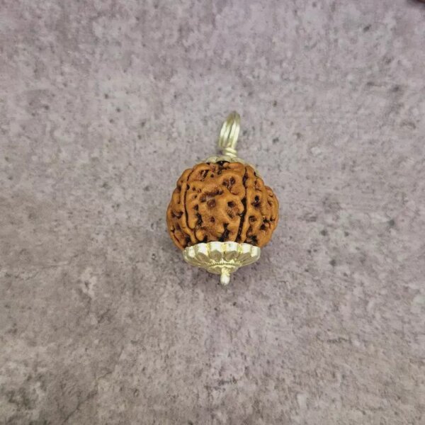 9 Mukhi Rudraksha Pendant